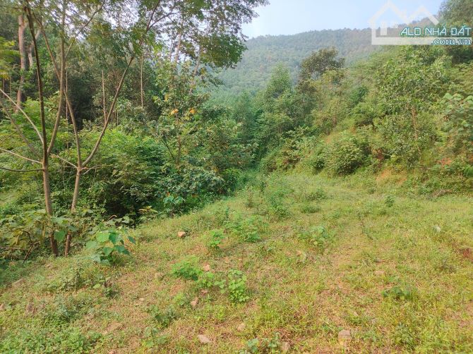 Chỉ 1,7 tỷ,gần 2ha có 400m thổ cư Hương Cần,sẵn ao,vườn,phẳng đẹp,ô tô vào đất,gần Quốc ll