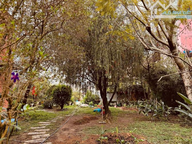 Cần vốn bán gấp căn nhà tâm huyết Nguyễn Du-Đà Lạt cách hồ chỉ 1km 630m2 giá 25 tỷ