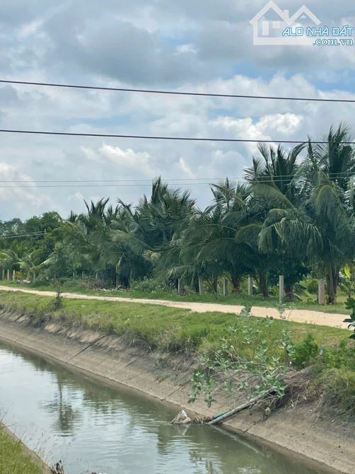 Cần bán nhanh-Đất Hàm Liêm-Hàm Thuận Bắc-DT 1.350m2,gần Trung Thành Nam - 1