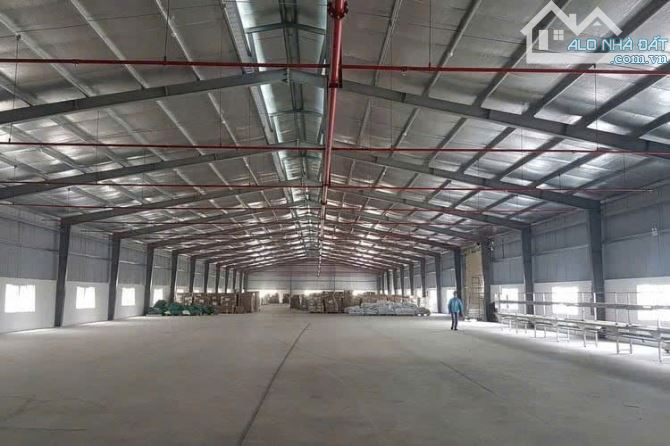 Cho thuê kho xưởng  KCN Quang Minh 2600m2 - 1
