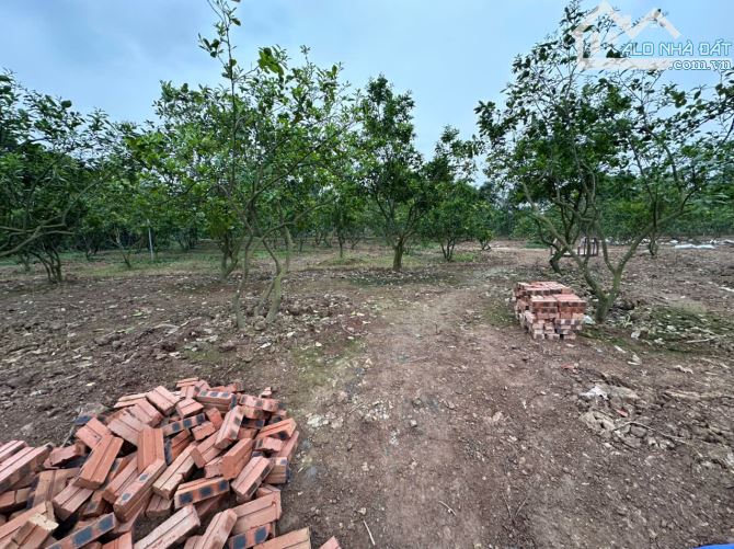 Bán miếng đất nông nghiệp mặt đường Văn Tiến Đũng, ô tô vào đất, hơn 1tr/m2, đủ sổ - 1