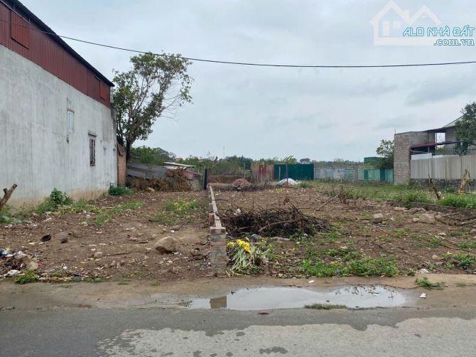 BÁN NHANH 283M.ĐẤT MINH PHÚ, SÓC SƠN. MT 12M. GIÁ 18.5TR/M - 1