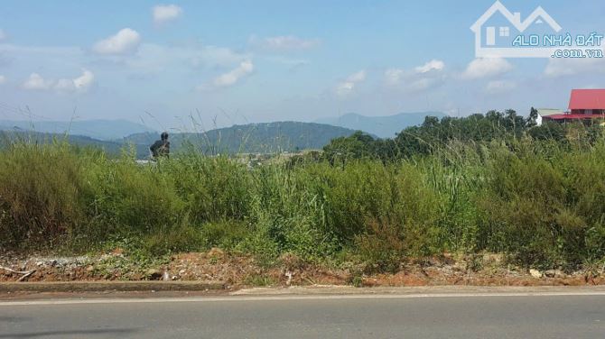 332m2 đất thổ cư, view săn mây, mặt tiền Ql20 tại Xuân Thọ- Đà Lạt. Giá 7,9 tỷ Tl mạnh - 2