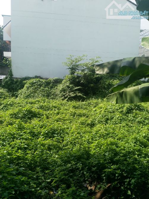 Bán 340m Đất Mặt Tiền Đường số 2 Trường Thọ Thủ Đức, Chiều ngang 15m Giá Tốt - 2