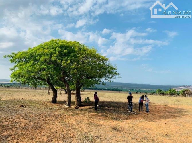 1311m2 đất cách đường liên huyện chỉ 10met, cách biển 30phút 400 triệu - 3