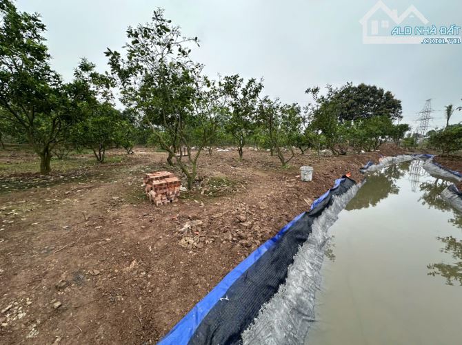 Bán miếng đất nông nghiệp mặt đường Văn Tiến Đũng, ô tô vào đất, hơn 1tr/m2, đủ sổ - 2