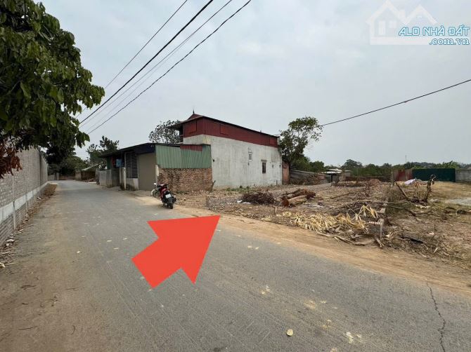 BÁN NHANH 283M.ĐẤT MINH PHÚ, SÓC SƠN. MT 12M. GIÁ 18.5TR/M - 3