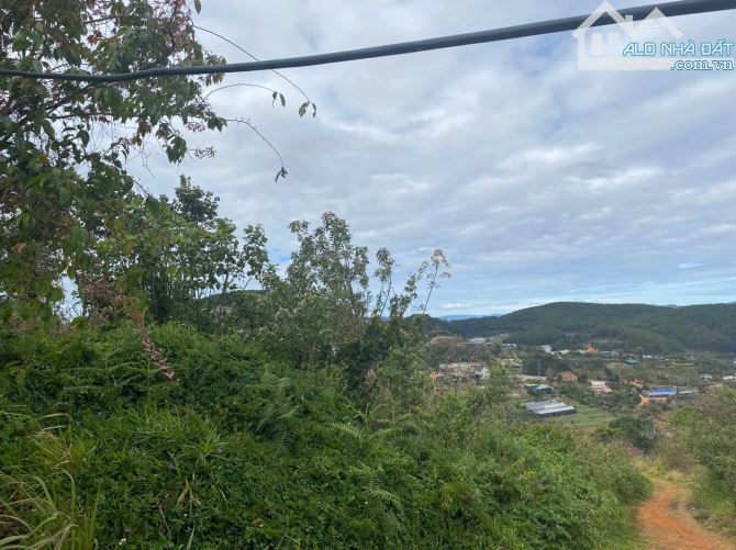 254m2 đất thổ cư, view săn mây, khu quy hoạch Xuân Trường- Đà Lạt. Giá 20 triệu/m - 4