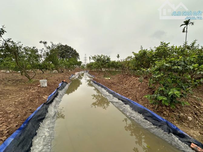 Bán miếng đất nông nghiệp mặt đường Văn Tiến Đũng, ô tô vào đất, hơn 1tr/m2, đủ sổ - 3
