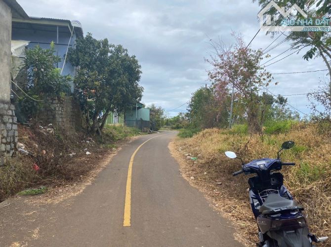 254m2 đất thổ cư, view săn mây, khu quy hoạch Xuân Trường- Đà Lạt. Giá 20 triệu/m - 5