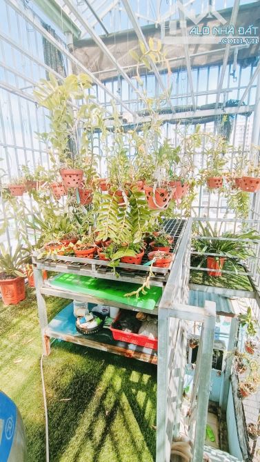 Bán nhà phường 14 Tân Bình, hẻm Nguyễn Hồng Đào, 60M2, 5 Tầng, 6,6 tỷ, gần Bàu Cát - 7
