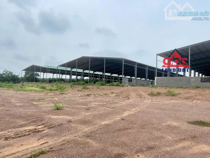 X021. Xin trân trọng thông báo về việc cần bán xưởng tại vị trí đắc địa tại Phú Giáo, Bình