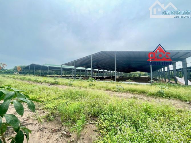 X021. Bán Xưởng đang hoàn thiện kết cấu khung thép kiên cố - Phú Giáo - Bình Dương