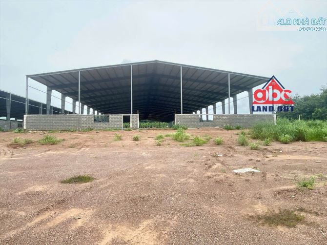 X021. Xin trân trọng thông báo về việc cần bán xưởng tại vị trí đắc địa tại Phú Giáo, Bình - 1