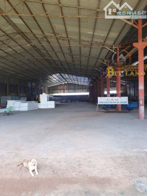 Xt253. Cho thuê xưởng 2000m2 phường phước tân mặt tiền võ nguyên giáp - 1