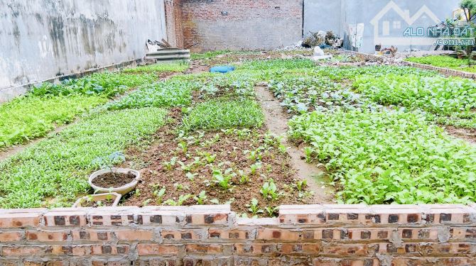 Hoa hậu phân lô ngõ thông ô tô tránh nhau Võng La Đông Anh 245m zá rẻ - 1