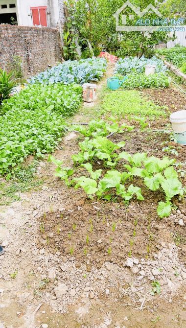 Bánn gấp đất đẹp ngõ thông ô tô vào tận đất 69m Khê Nữ Nguyên Khê Zá Rẻ - 1