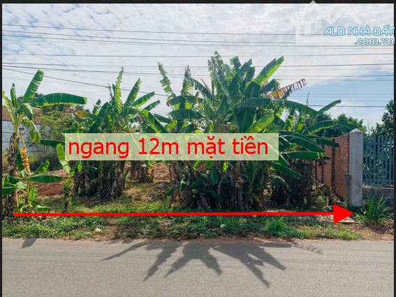 bán lô đất TT Đất Đỏ , mặt tiên đường nhựa Phạm Văn Hy ngang 12 x 60 giá 2ty8 - 1