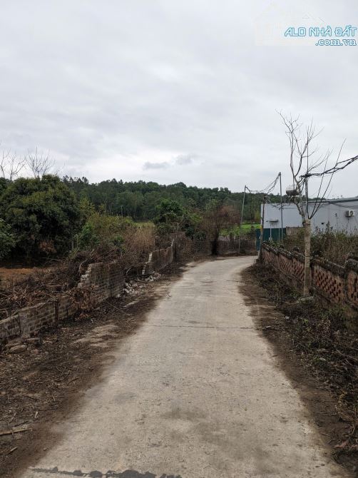 Bán đất 2500m2 Ngọc Thanh, view cánh đồng - 4