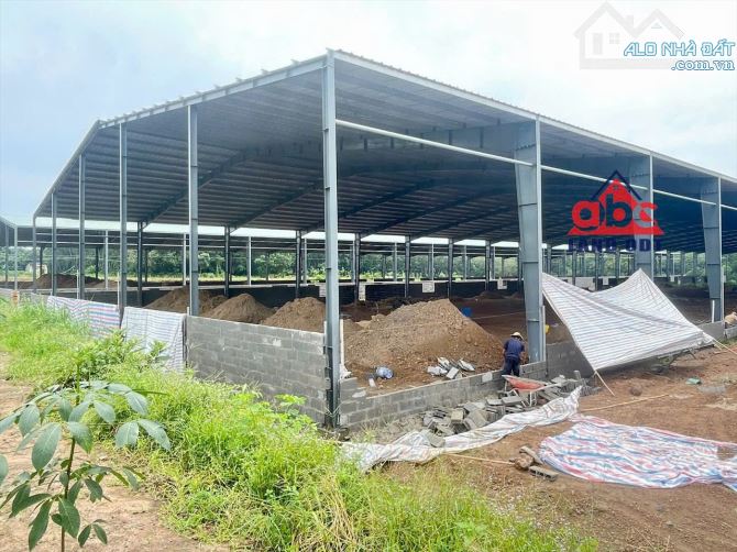 X021. Xin trân trọng thông báo về việc cần bán xưởng tại vị trí đắc địa tại Phú Giáo, Bình - 3