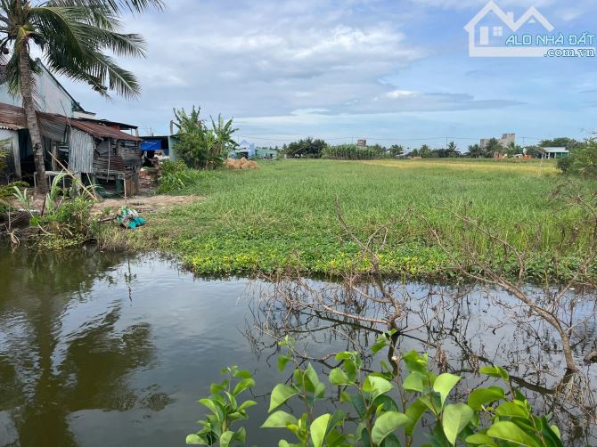 Bán nhanh 4,2 công đất vườn giá 1,1 tỷ, gần nhựa HL07 Tân Thành, Gò Công Đông, Tiền Giang - 3