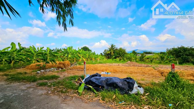 💥Bán đất Suối Tiên, ngay HL39, trung tâm Suối Tiên, Diên Khánh, Khánh Hòa. - 3