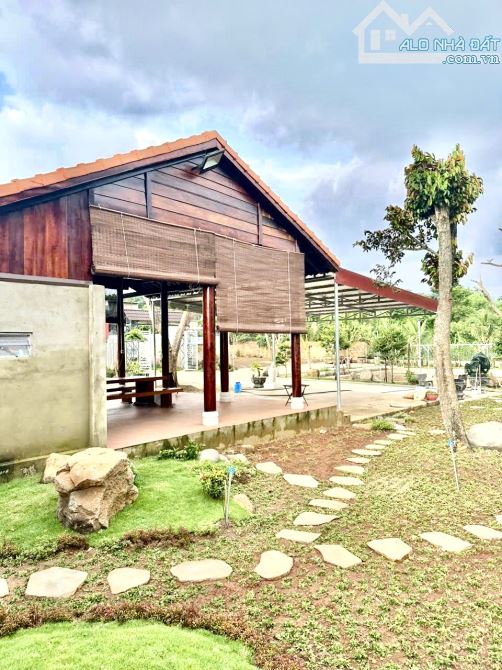 Bán View Nghĩ Dưỡng 2155m2 Mặt Tiền đường TL764, Sông Ray, Cẩm Mỹ, Đồng Nai - 2