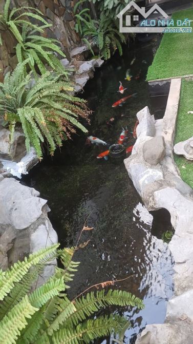 Hiếm nhà đẹp 4 tầng đường Nguyễn Khuyến, 231m2, MT 10m, đường ô tô vỉa hè rộng, Kinh doanh - 3