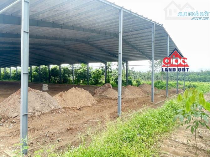 X021. Xin trân trọng thông báo về việc cần bán xưởng tại vị trí đắc địa tại Phú Giáo, Bình - 4