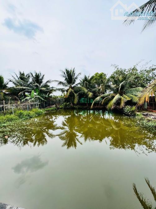 🌿 KHU NGHỈ DƯỠNG LÝ TƯỞNG – MẶT TIỀN ĐƯỜNG LƯƠNG NGANG, BÌNH CHÁNH – 2.000M², CHỈ 15 TỶ - 4