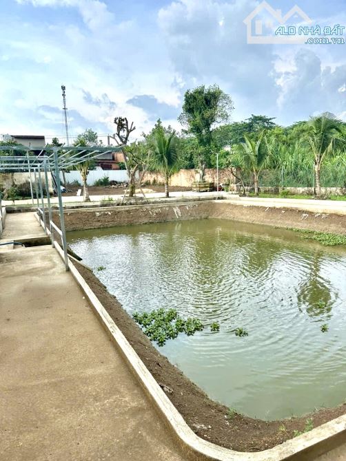 Bán View Nghĩ Dưỡng 2155m2 Mặt Tiền đường TL764, Sông Ray, Cẩm Mỹ, Đồng Nai - 3