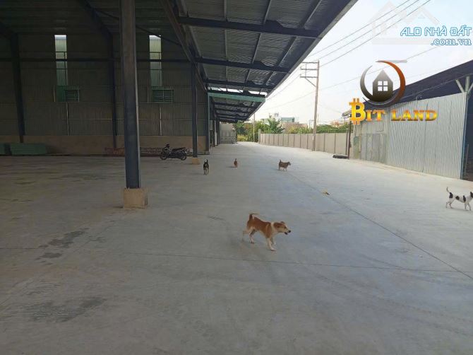 XT251 Cho Thuê Kho Xưởng 3500m2 Gần Cầu Đồng Nai. - 4