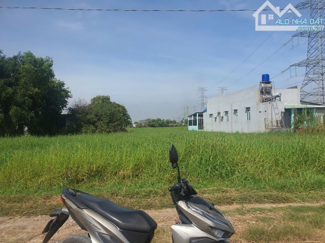 Đất đường 824 xã Đức Hoà Đông, Đức Hòa, Long An, 5x30.7m, 153,5m2 thổ cư, khu vực đông dân - 4