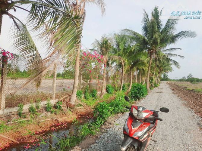 Siêu phẩm, chỉ 650tr sở hữu 1000m2 đất vườn 16x 61m, view kênh - 3
