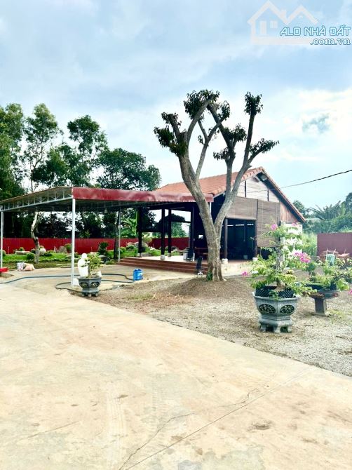 Bán View Nghĩ Dưỡng 2155m2 Mặt Tiền đường TL764, Sông Ray, Cẩm Mỹ, Đồng Nai - 4