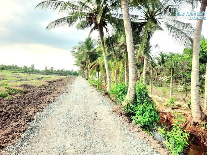 Siêu phẩm, chỉ 650tr sở hữu 1000m2 đất vườn 16x 61m, view kênh - 4