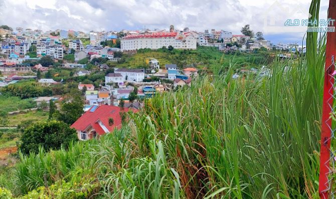 Bán lô đất Đống Đa- 362m -🔥 19 Tỷ- view nhìn toàn thành phố Đà Lạt- Phường 3 - 5