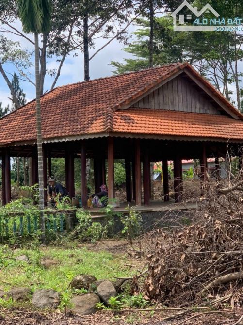 NGỘP [1,2 hecta] có 600m2 thổ cư, 3 mặt tiền đường nhựa, sát ngay nút giao cao tốc và QL51 - 6