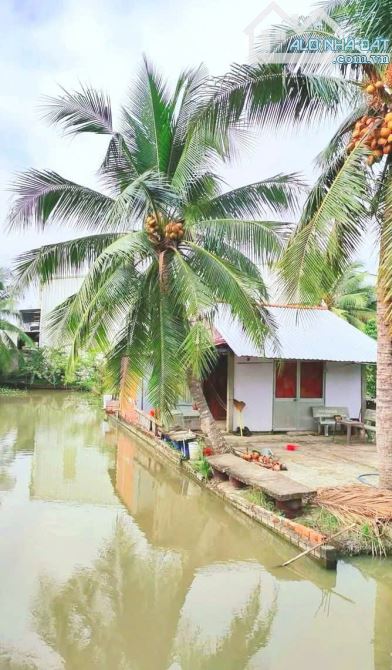 Siêu phẩm, chỉ 650tr sở hữu 1000m2 đất vườn 16x 61m, view kênh - 5