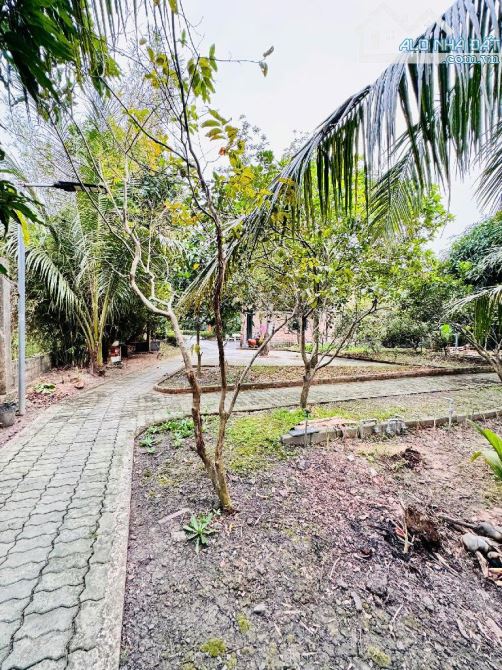 🌿 KHU NGHỈ DƯỠNG LÝ TƯỞNG – MẶT TIỀN ĐƯỜNG LƯƠNG NGANG, BÌNH CHÁNH – 2.000M², CHỈ 15 TỶ - 8