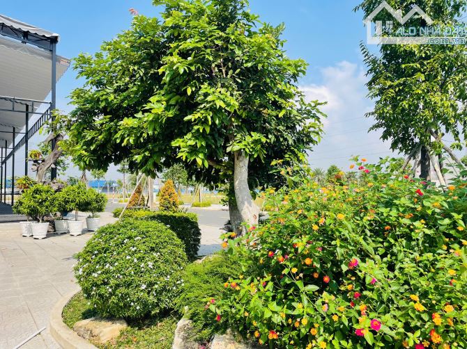 Chính Chủ Gửi Bán Lô F0 Đường Trục Chính King Hill Residences Giá Chỉ Từ 1 Tỷ 6, SHR - 9