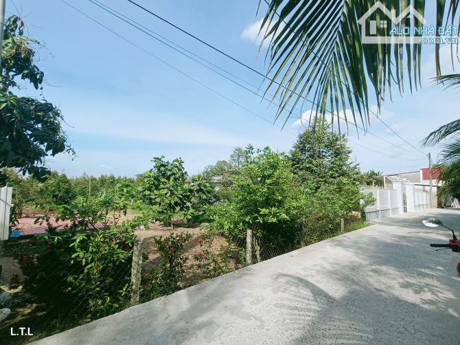 Bán 5400m2 đất sầu riêng Nhơn Ái, Phong Điền, Cần Thơ