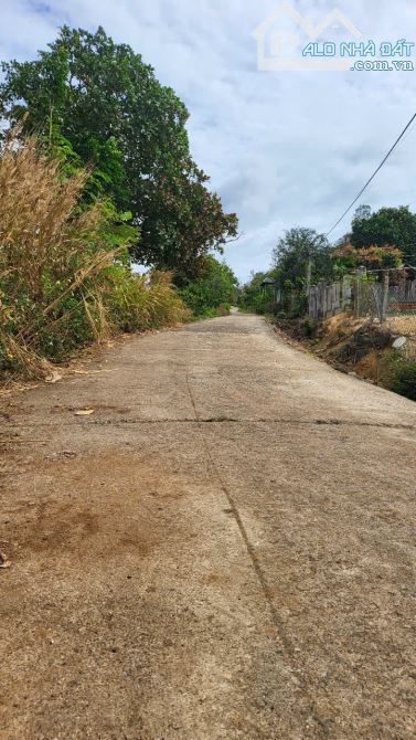Bán đất thổ cư đường bê tông gần ủy ban xã Dray Sáp giá 40tr 1m.