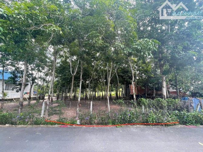 Bán gấp đất gâgn CTY Gỗ Phú Đỉnh dân đông co thổ cư sẵn giá rẻ 695tr