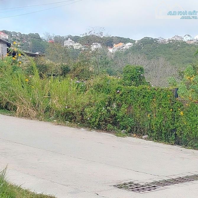 🌲Lô đất 500m Xây Dựng- Hoàng Hoa Thám- Phường 10- Đà Lạt🏡VIEW RỪNG THÔNG NGHỈ DƯỠNG - 1