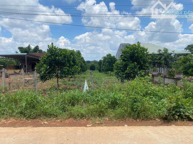 Bán 4000m2 đất Bình Dương, sổ hồng sẵn, giá 980 triệu, gần DT749B - 1