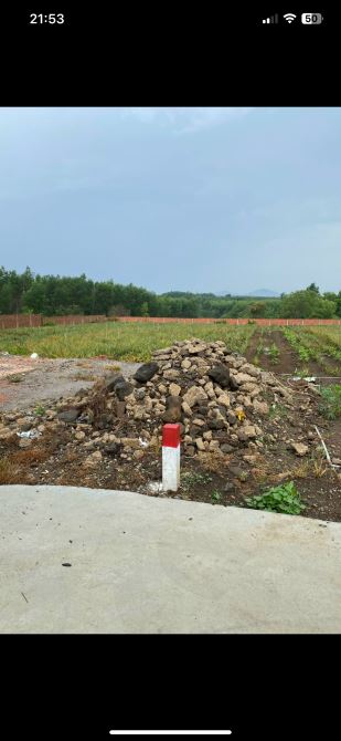 Bán hưn 4 sào 7 bàu cạn giá khoảng 2 tr/ m giá mềm - 1