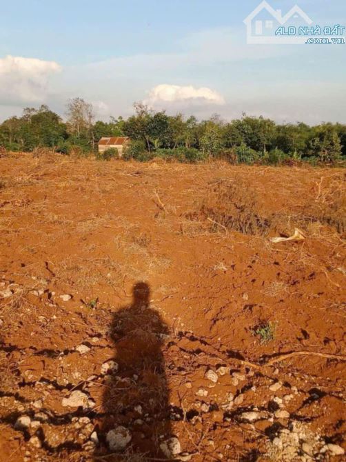 Bán 1,1 ha đất cuôr Đăng CưMgar Cách Phố 15km - 2