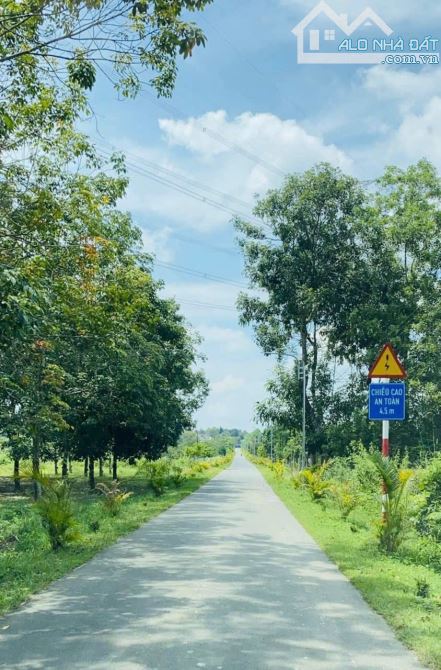 📢 BÁN 12000m ĐẤT VƯỜN SUỐI CAO - XUÂN LỘC 📢 - 2