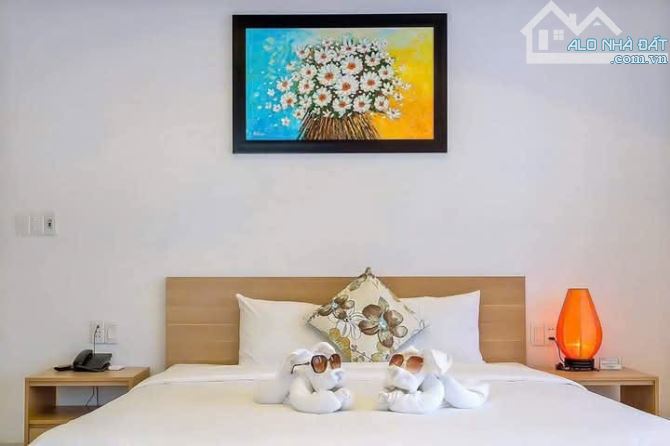 🆘 Siêu rẻ ‼️ 2 Căn villa 2 Mặt Tiền phố Hai Bà Trưng tt Hội An - 2